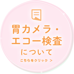 胃カメラ・エコー検査
